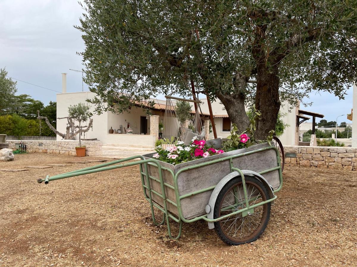 צ'יסטרנינו Grano Arso Appartamento Turistico מראה חיצוני תמונה